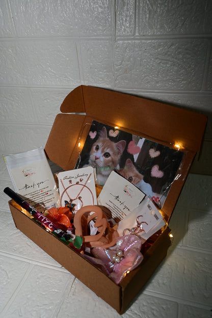 Presentsysoul Cute Colour Beauty Hamper – 1 pendent set , 1 Small Claws & 1 Heart shape clutcher 1 Ring 1 Korean Earrings 1 eyeliner , 1 Bow clip Accessories Gift Box including Light